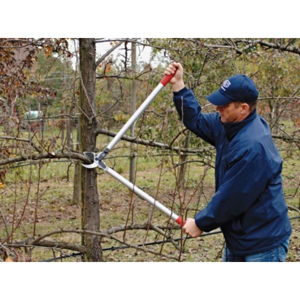 Dvoročne škarje FELCO 231-80CM