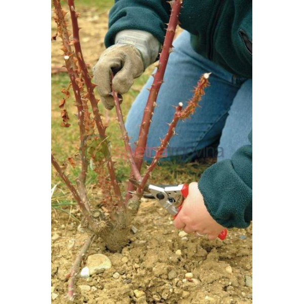 Enoročne škarje FELCO 10 - Za levičarje