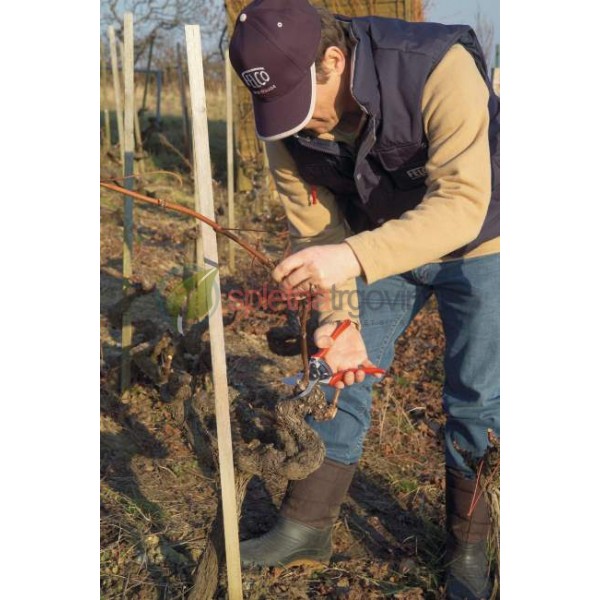 Enoročne škarje FELCO 11