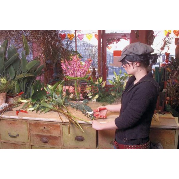 Enoročne škarje FELCO 300 - Za trgatev