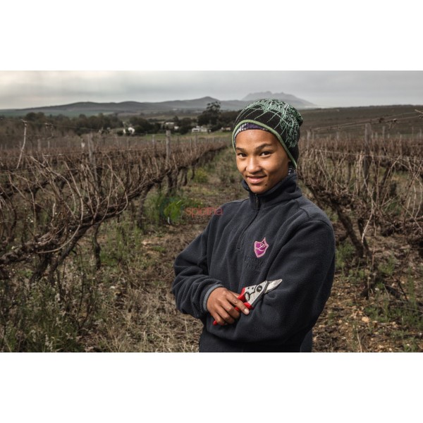 Enoročne škarje FELCO 6