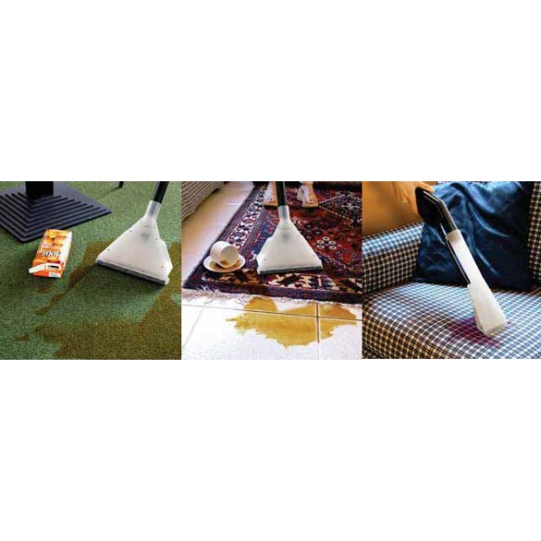 Globinski sesalec  SOLARIS IF