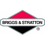 Brigss & Stratton