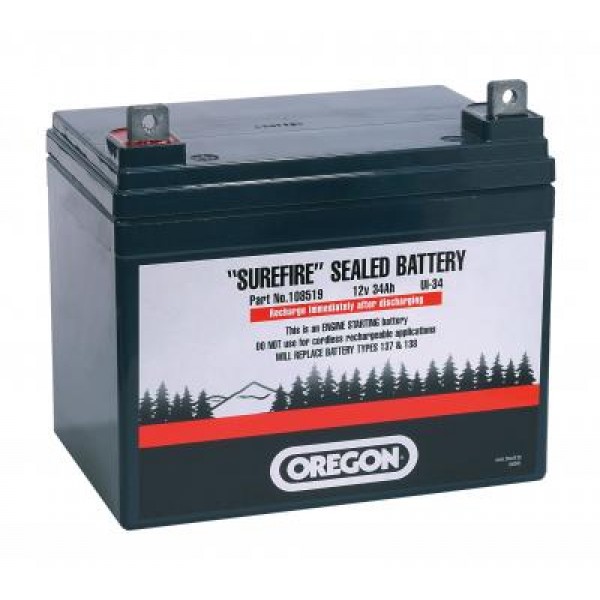 Akumulator OREGON 12V 24Ah - levo plus za Echo MERE: D196MM x Š130MM x V180MM