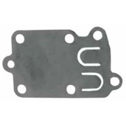 Membrana BRIGGS & STRATTON