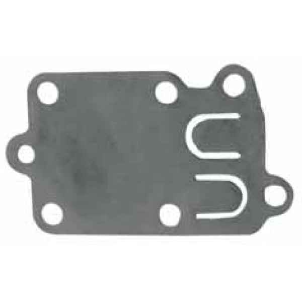 Membrana BRIGGS & STRATTON